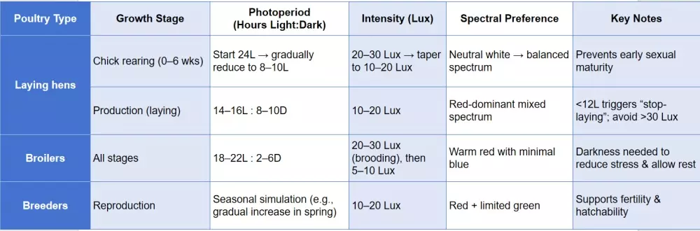 Tailored Lighting for Poultry Types